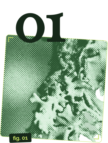 Imagen del servicio 01