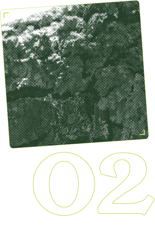 Imagen del servicio 02