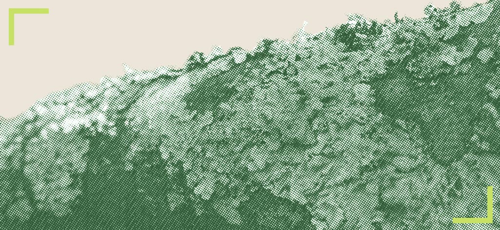 From sustainability to regeneration