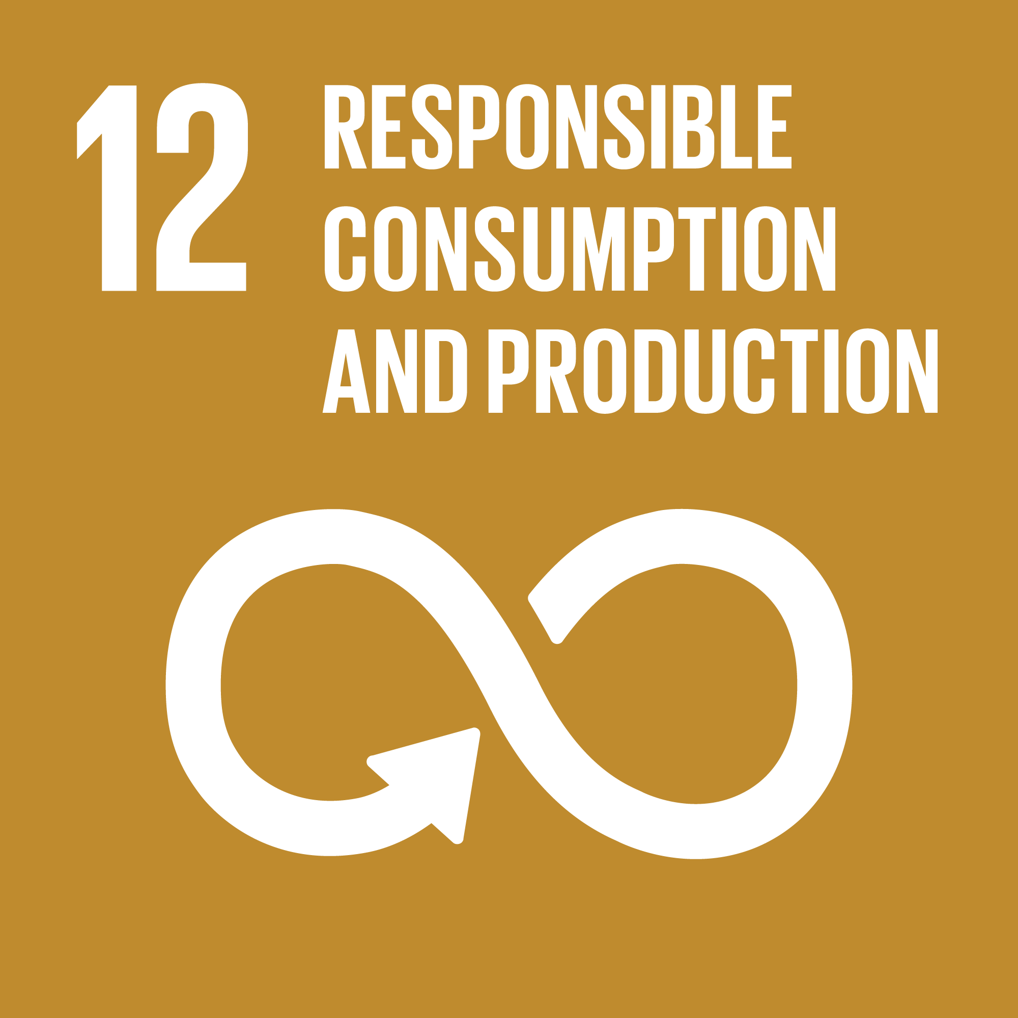 SDG 12 — Responsible Consumption and Production